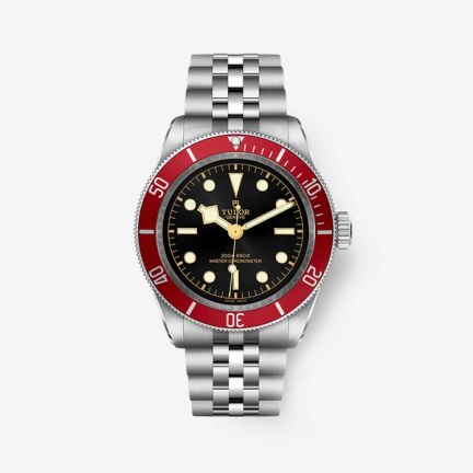 Tudor Black Bay