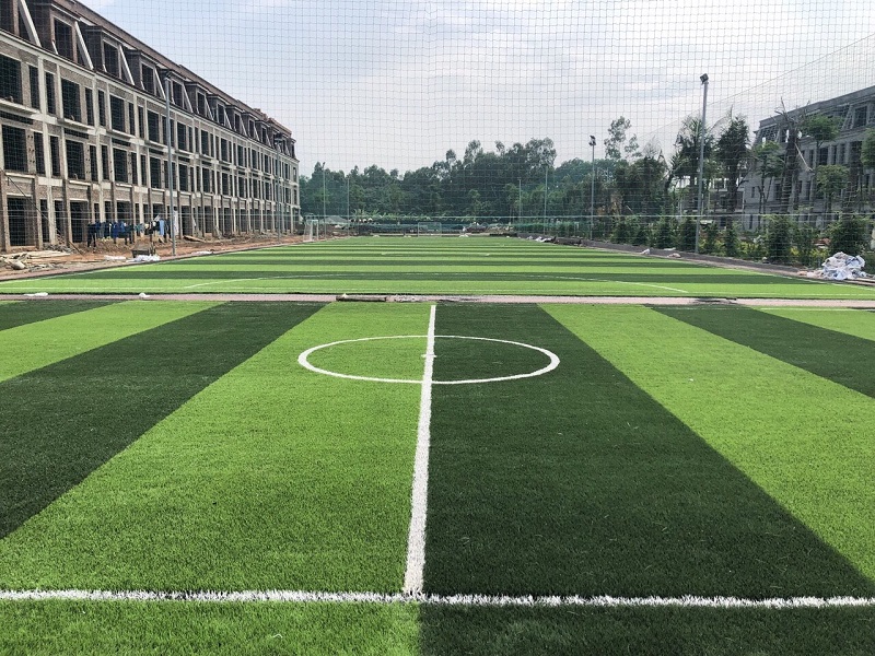 Kinh Nghiệm Tổ Chức Và Thi Đấu Sân 7 Người