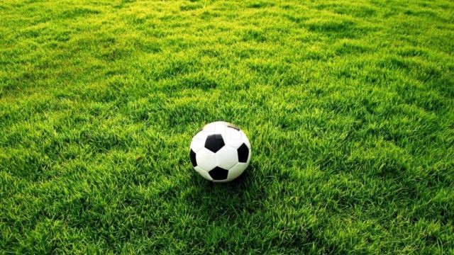 Sân Bóng Đá Theo Tiêu Chuẩn Fifa Là Gì? Quy Định Mới Nhất 2025