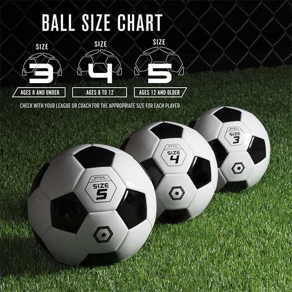 Tiêu Chuẩn Quả Bóng FIFA Là Gì? Toàn Cảnh Về Kiểm Định Và Giá Trị
