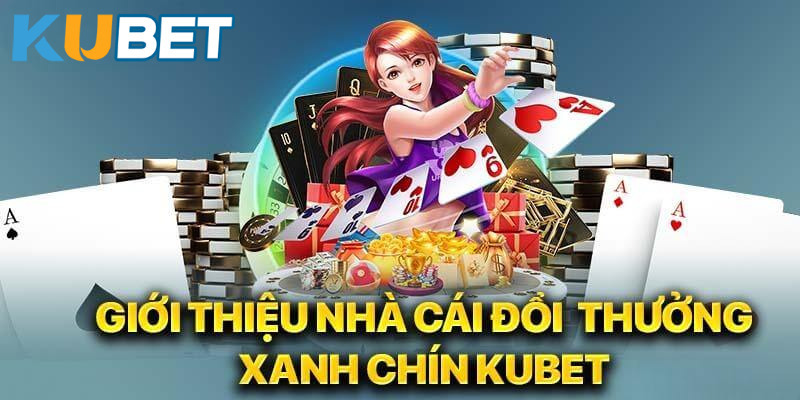 Chân dung người sáng lập và đội ngũ phát triển: Đặt chất lượng lên hàng đầu